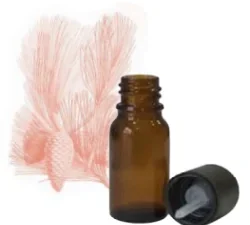 JERRAFLORE HUILE ESSENTIELLE DE TEREBENTHINE 10ML