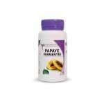 MGD PAPAYE FERMENTEE 100 gelules