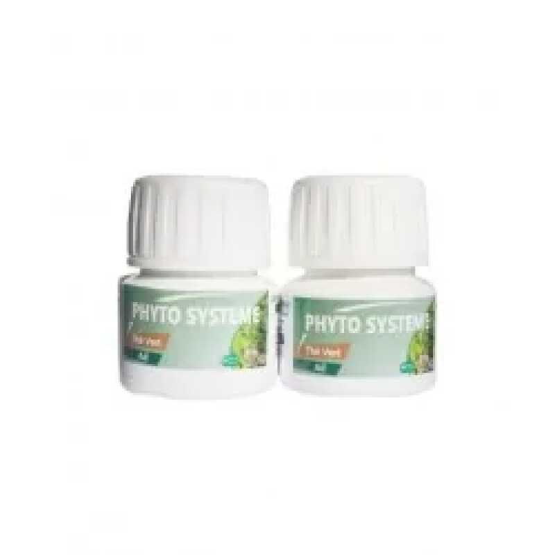 Phyto Systeme The Vert & Ail – 60 Gelules