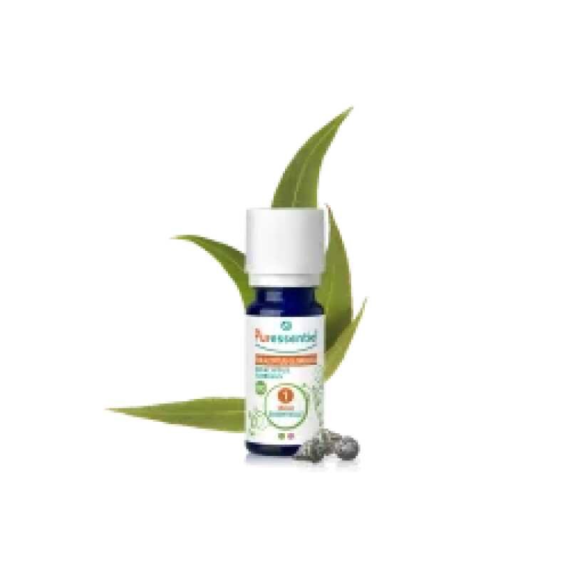 PURESSENTIEL HUILE ESSENTIELLE EUCALYPTUS GLOBULEUX BIO 10ML